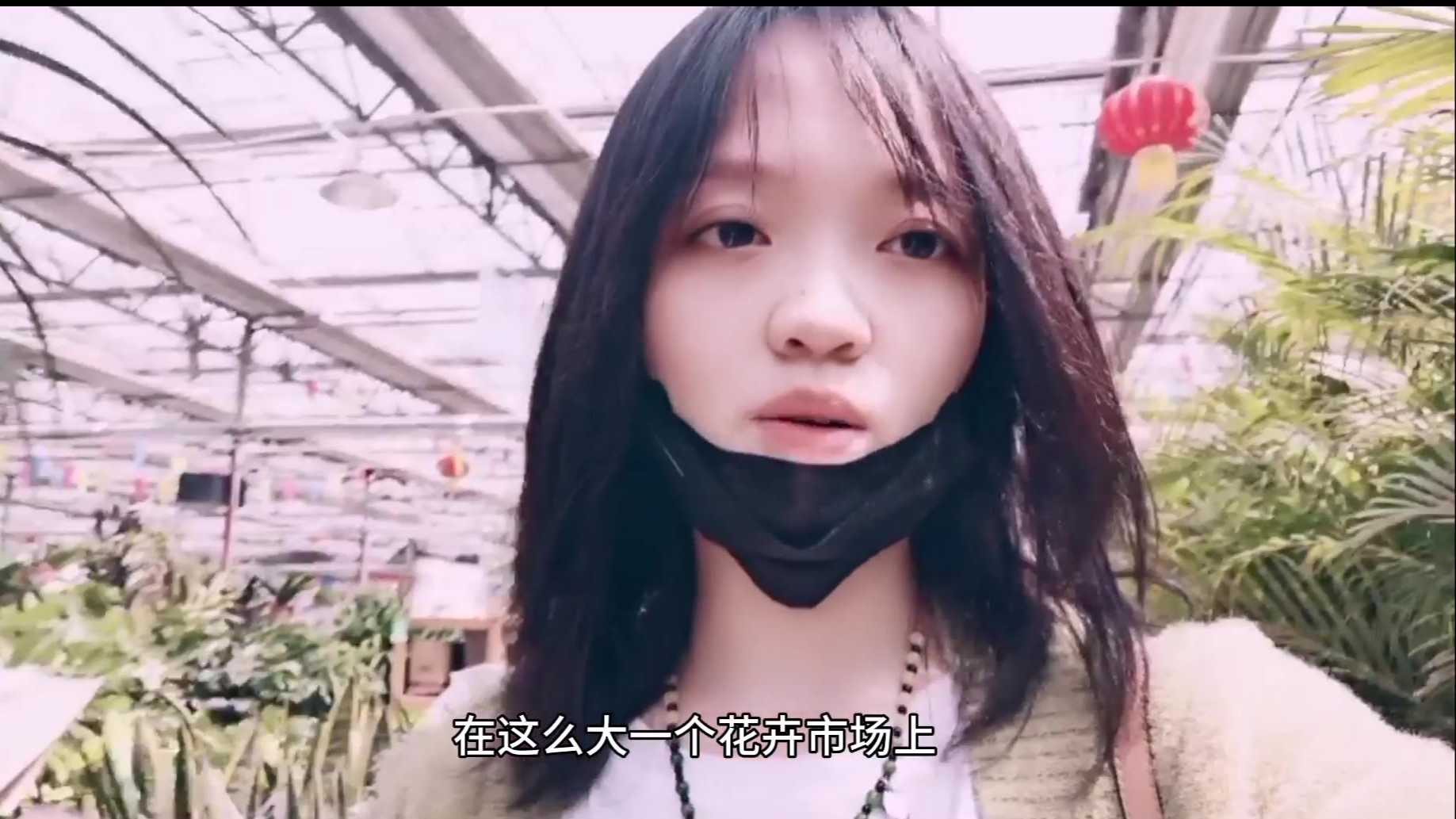 养鸟需谨慎,当你想养鸟的时候,你需要思考这一点